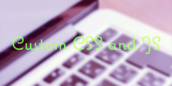 wordpressで記事ごとにcssを指定できるプラグイン「Custom CSS and JS」